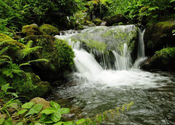 Waterfall in Mtirala National Park 350x250 1